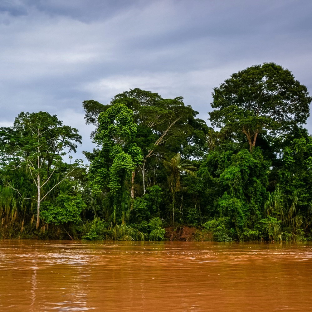 Alto Madre de Dios River