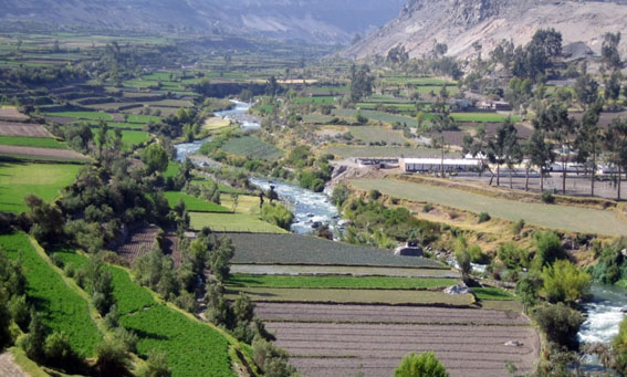 Tour Campiña - Arequipa