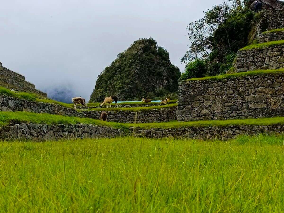 inca city of machupicchu