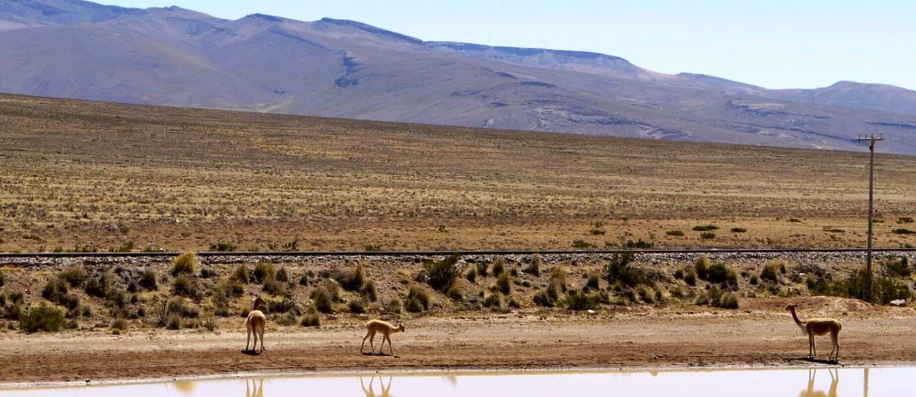 salinas national reserve