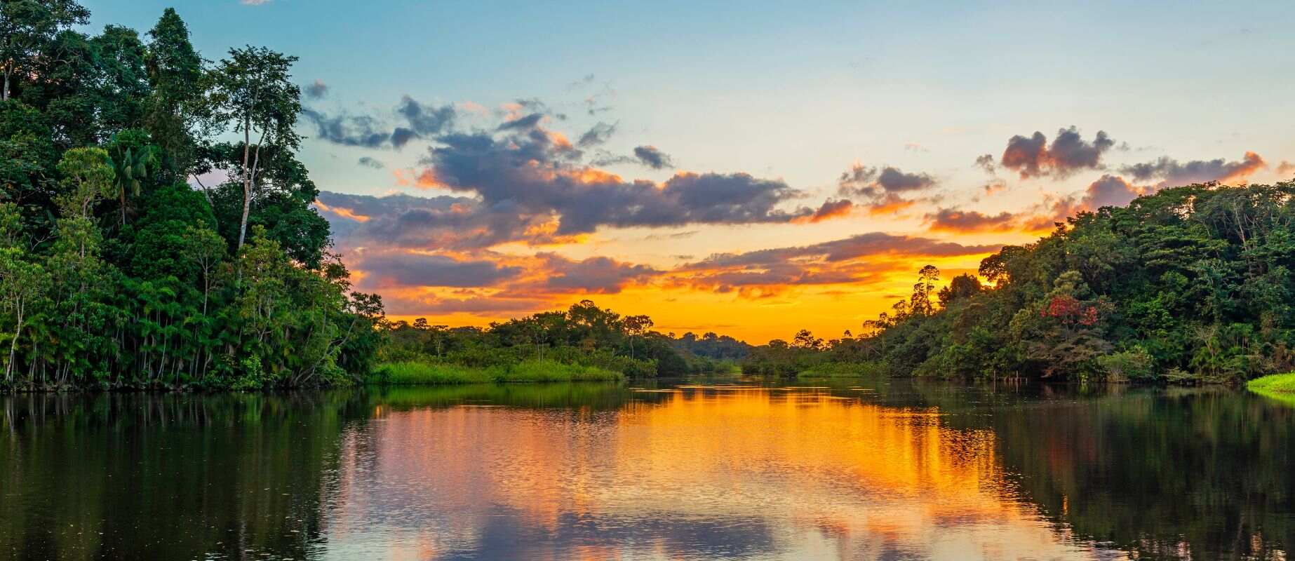 Amazon rainforest of Peru - Amazon