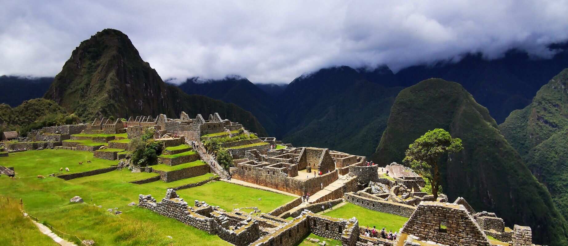 citadel of Machu Picchu